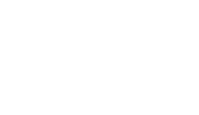 Leona Carbon Case