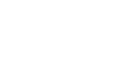 Leona Carbon Case 